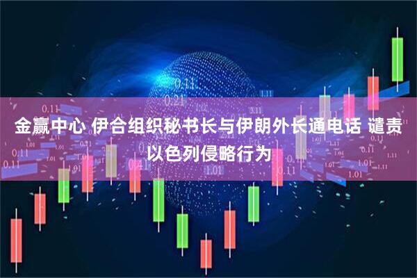金赢中心 伊合组织秘书长与伊朗外长通电话 谴责以色列侵略行为