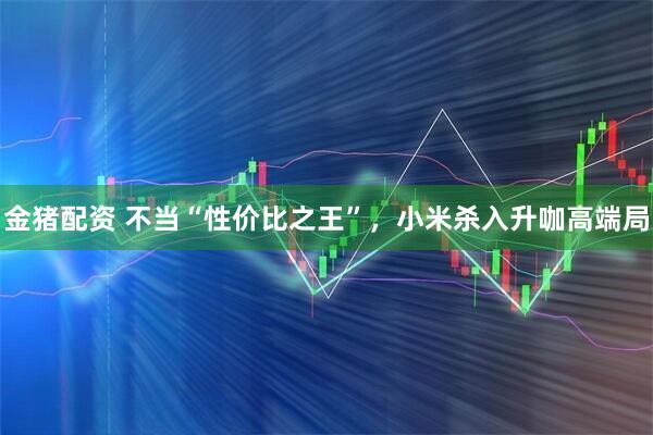 金猪配资 不当“性价比之王”，小米杀入升咖高端局